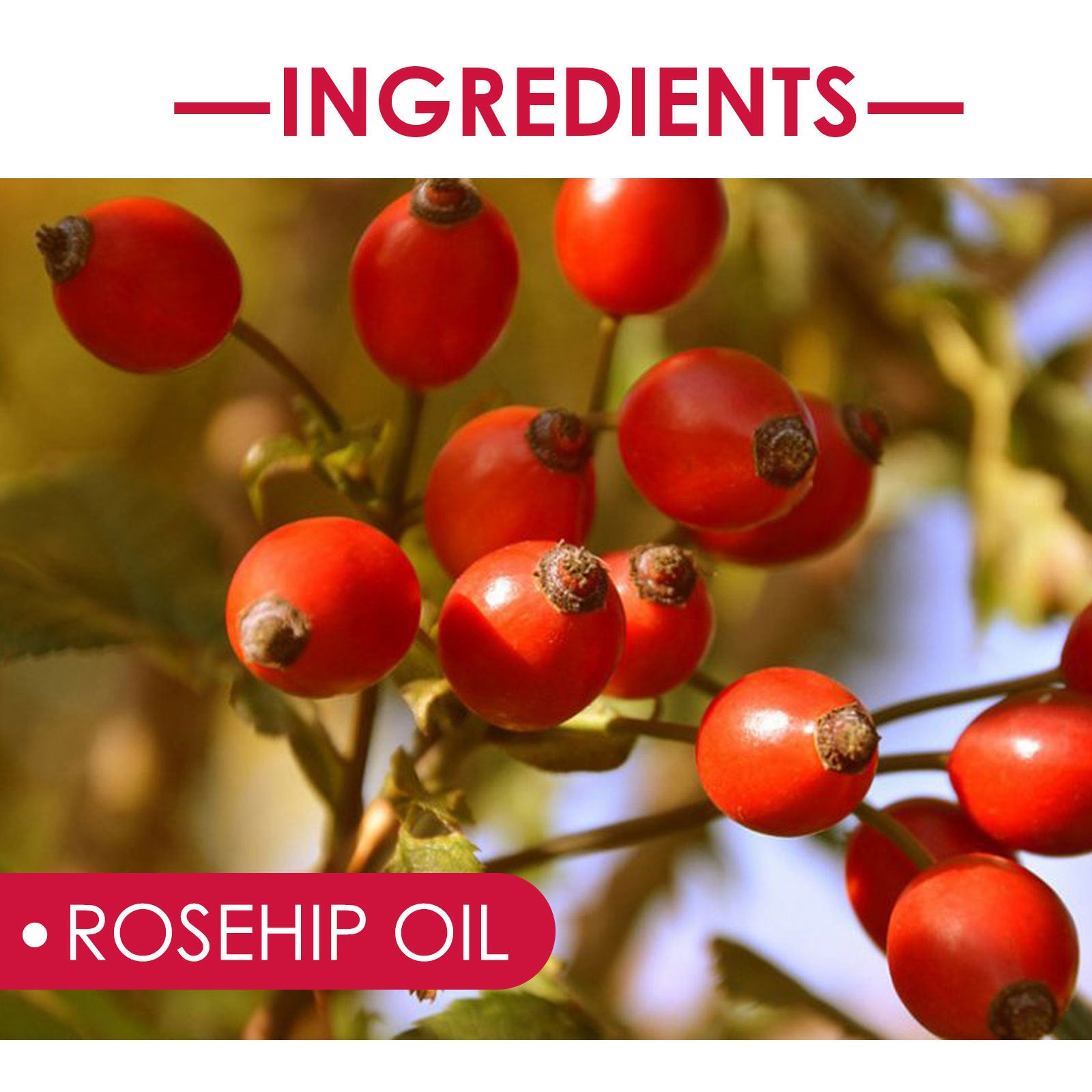 EELHOE Rosehip Facial Oil - Multi-Purpose Hydrating Oil for Face, Body & Hair